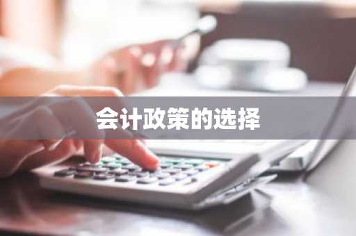 会计政策的选择