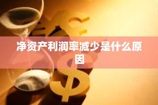 净资产利润率减少是什么原因