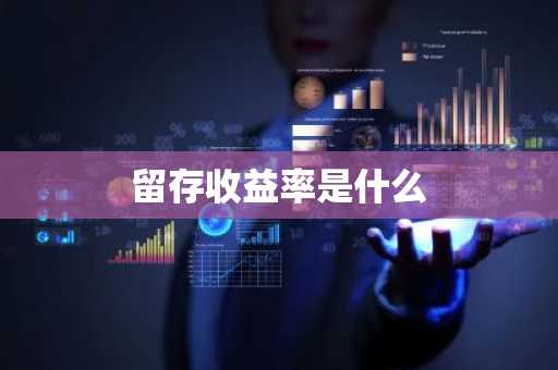 留存收益率是什么