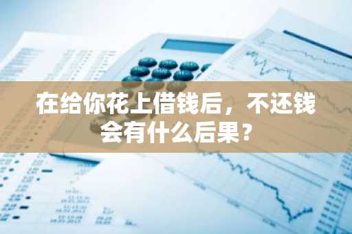 在给你花上借钱后，不还钱会有什么后果？