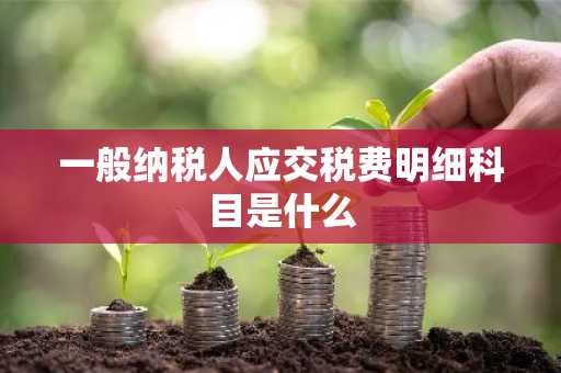 一般纳税人应交税费明细科目是什么