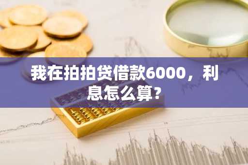 我在拍拍贷借款6000，利息怎么算？