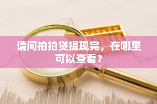 请问拍拍贷提现完，在哪里可以查看？
