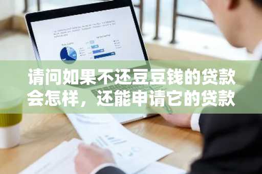 请问如果不还豆豆钱的贷款会怎样，还能申请它的贷款吗？