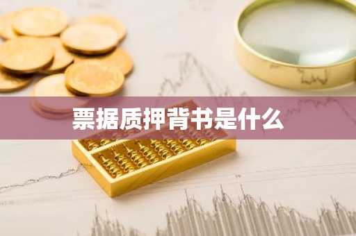 票据质押背书是什么