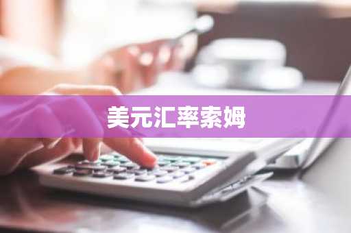 美元汇率索姆