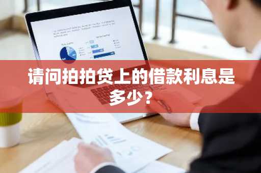 请问拍拍贷上的借款利息是多少？