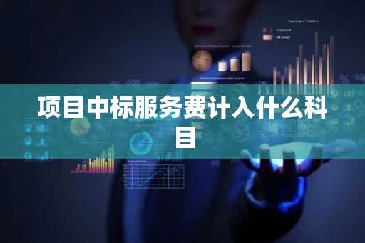 项目中标服务费计入什么科目