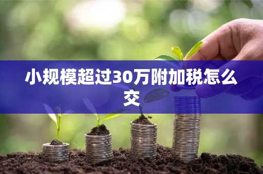 小规模超过30万附加税怎么交
