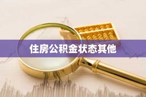 住房公积金状态其他