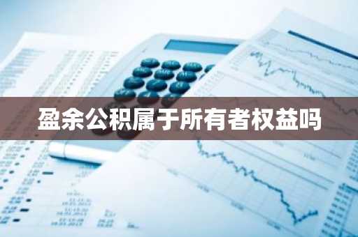 盈余公积属于所有者权益吗