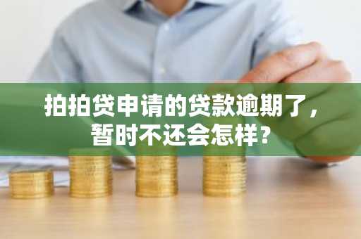 拍拍贷申请的贷款逾期了，暂时不还会怎样？