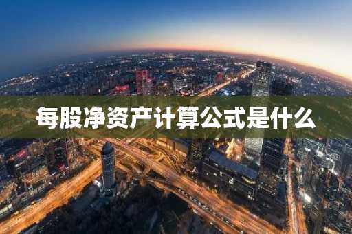 每股净资产计算公式是什么