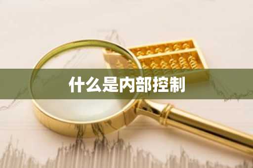 什么是内部控制
