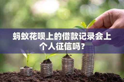 蚂蚁花呗上的借款记录会上个人征信吗？