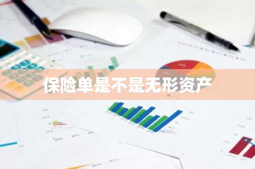 保险单是不是无形资产