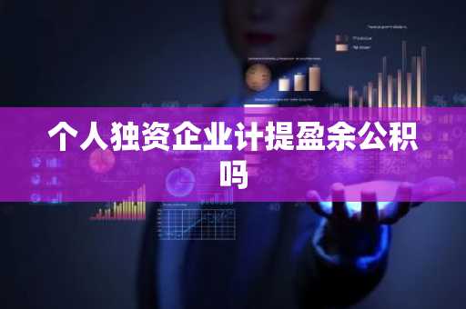 个人独资企业计提盈余公积吗