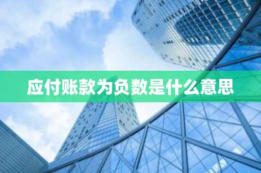 应付账款为负数是什么意思