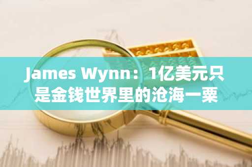 James Wynn：1亿美元只是金钱世界里的沧海一粟