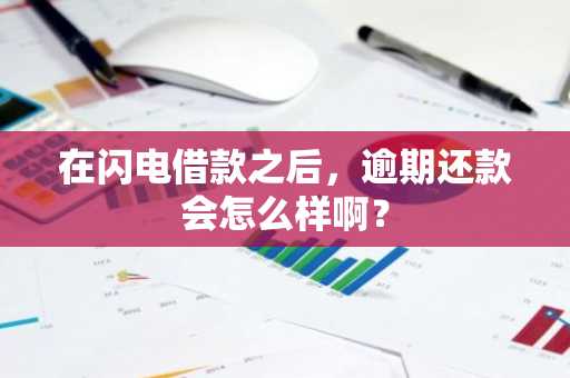 在闪电借款之后，逾期还款会怎么样啊？