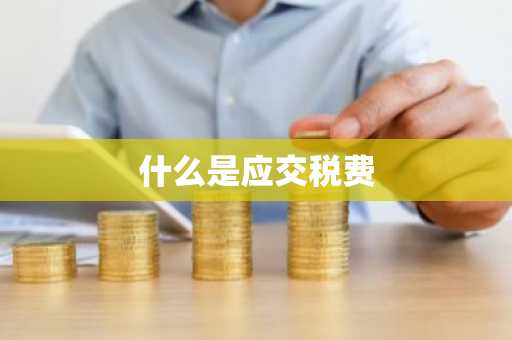 什么是应交税费