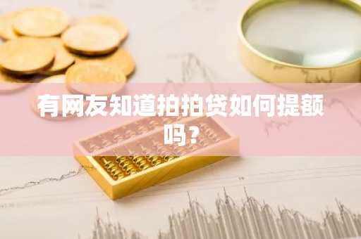 有网友知道拍拍贷如何提额吗？