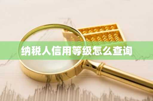 纳税人信用等级怎么查询