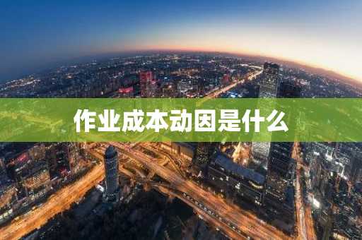 作业成本动因是什么
