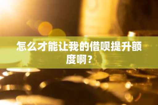 怎么才能让我的借呗提升额度啊？