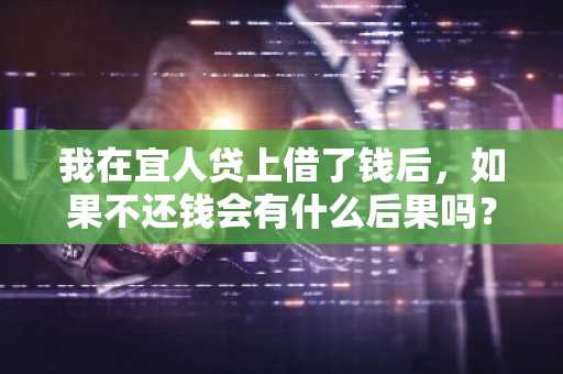 我在宜人贷上借了钱后，如果不还钱会有什么后果吗？