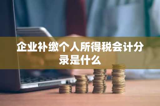 企业补缴个人所得税会计分录是什么