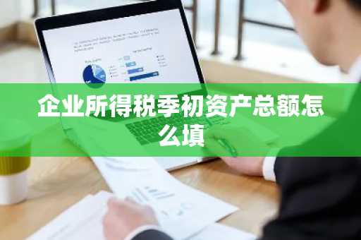 企业所得税季初资产总额怎么填