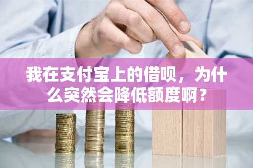 我在支付宝上的借呗，为什么突然会降低额度啊？