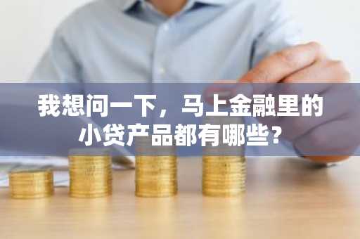 我想问一下，马上金融里的小贷产品都有哪些？