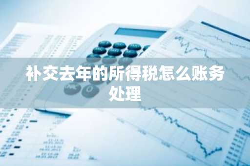 补交去年的所得税怎么账务处理