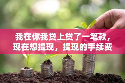 我在你我贷上贷了一笔款，现在想提现，提现的手续费是怎么收取的？