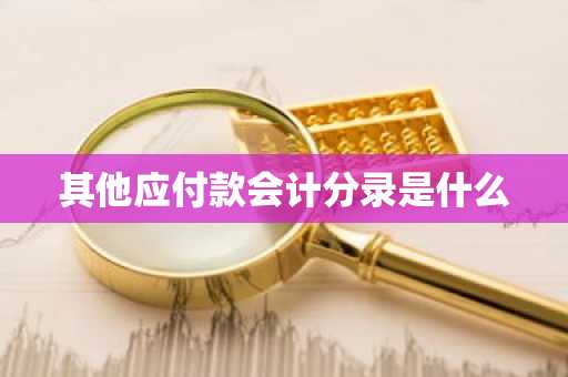 其他应付款会计分录是什么