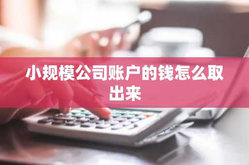 小规模公司账户的钱怎么取出来