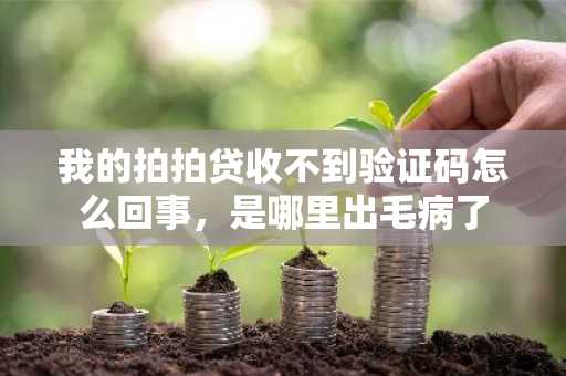 我的拍拍贷收不到验证码怎么回事，是哪里出毛病了