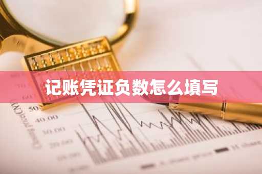 记账凭证负数怎么填写
