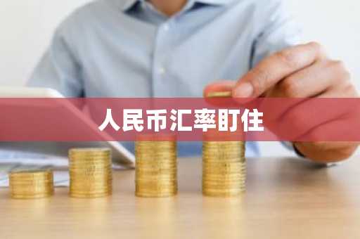 人民币汇率盯住