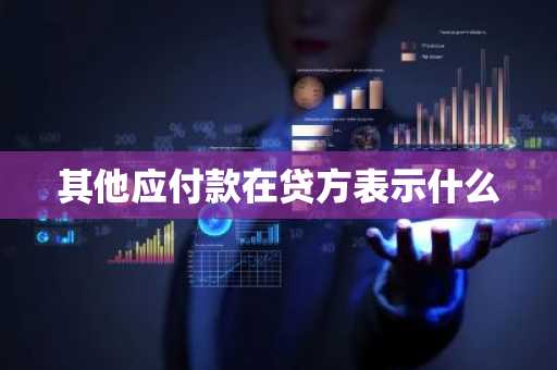 其他应付款在贷方表示什么
