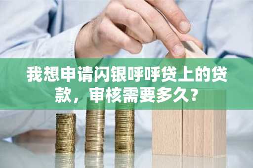 我想申请闪银呼呼贷上的贷款，审核需要多久？