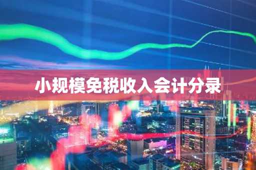 小规模免税收入会计分录
