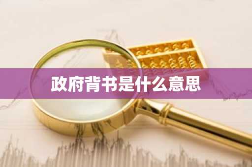 政府背书是什么意思