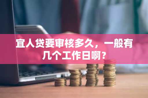 宜人贷要审核多久，一般有几个工作日啊？
