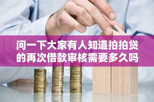 问一下大家有人知道拍拍贷的再次借款审核需要多久吗？