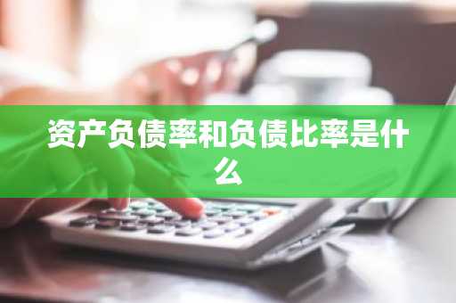 资产负债率和负债比率是什么