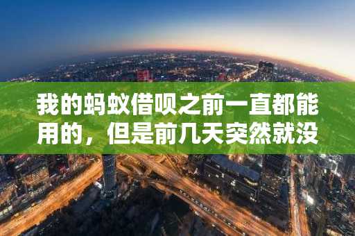 我的蚂蚁借呗之前一直都能用的，但是前几天突然就没有额度了，借呗额度没了是怎么回事？