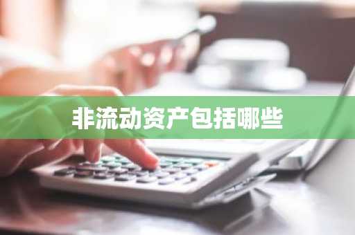 非流动资产包括哪些